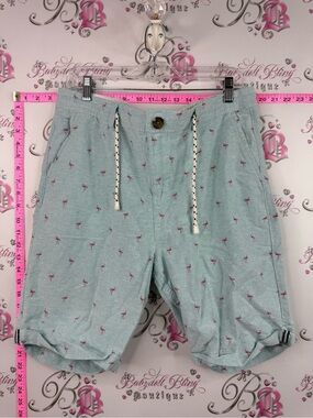 Urban man shorts Aqua Drawstring Shorts with Pink Flamingo Print